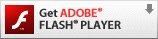 Adobe Flash Player̃CXg[